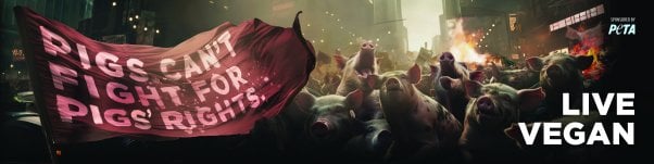 Fiery Vegan Appeal Lands Near Bacon-Centric Eateries: ‘Pigs Can’t Fight ...
