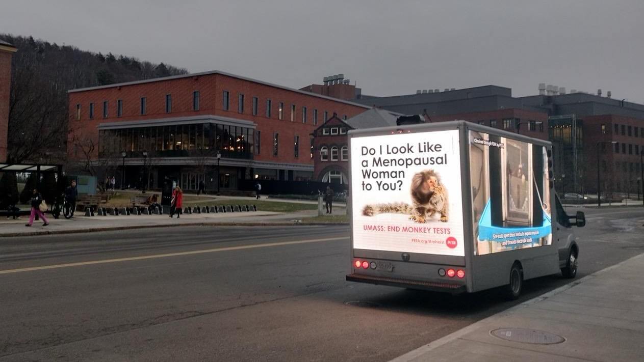 Billboard truck featuring an ad with a photo of a marmoset. Text reads Do I look like a menopausal woman to you?