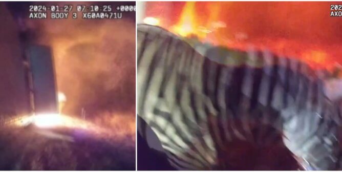 screenshots from a video showing the dramatic removal of a zebra from a burning circus trailer