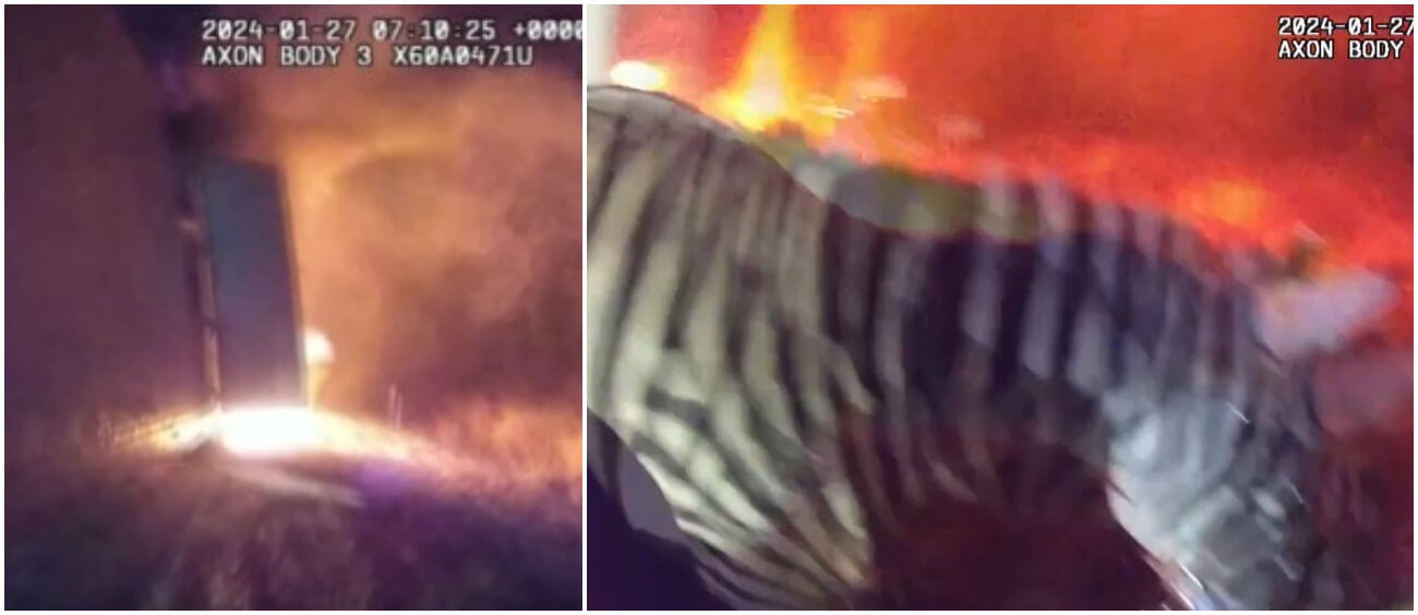 screenshots from a video showing the dramatic removal of a zebra from a burning circus trailer