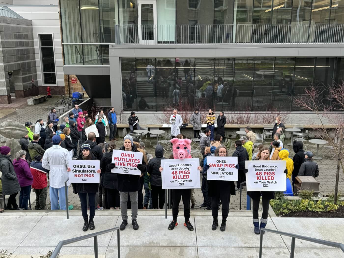 PETA demonstrators stand in a line holding signs. One is wearing a pig mask.