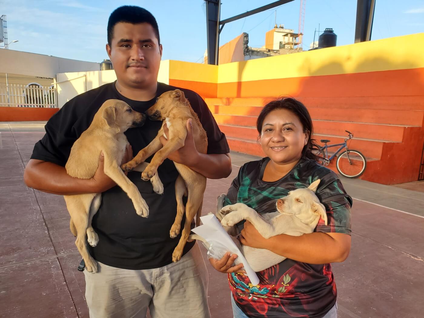 Guardians in Mexico cradle their sleeping dogs after retrieving them from surgery.