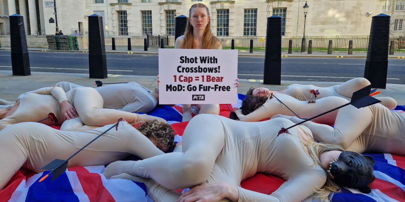 PETA UK supporters hold a “die-in” outside MoD headquarters in London