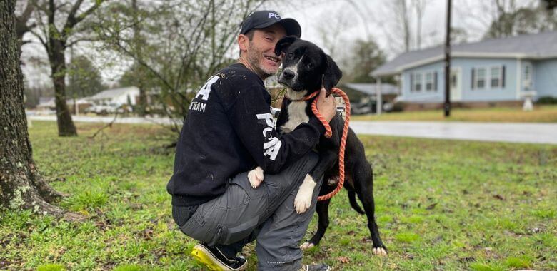 Rescued! Bo Gets a Chance to Find a Loving Home