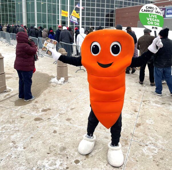 PETA supporter in a carrot costume
