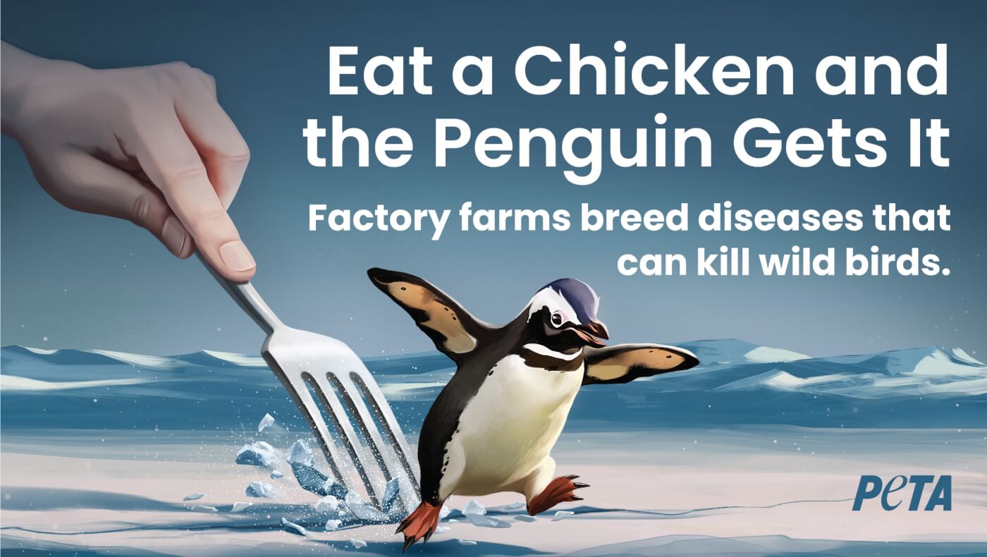 A penguin runs away from a giant hand with a fork