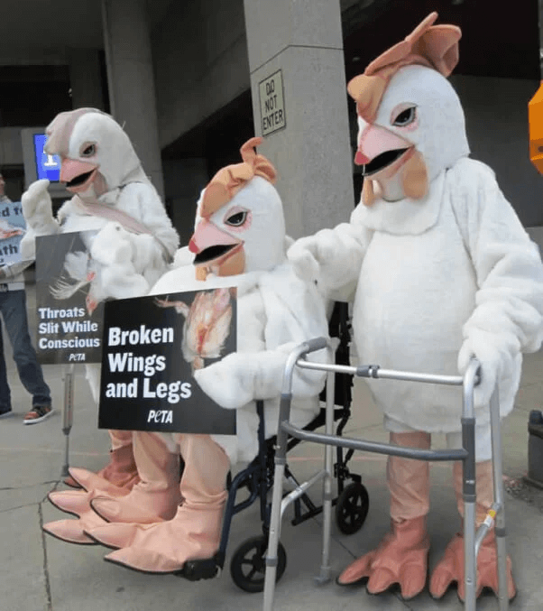 Fowl Ball Chickens in costume Credit PETA Home