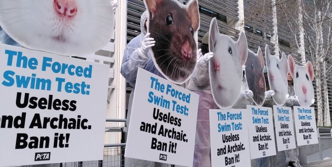 PETA UK supporters demand that the Home Office abolish the forced swim test.