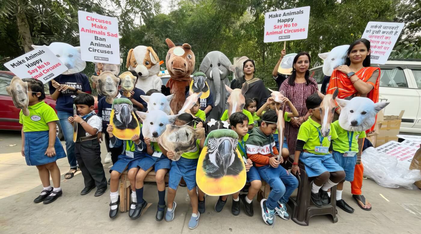 Schoolchildren in India protest animals in circuses