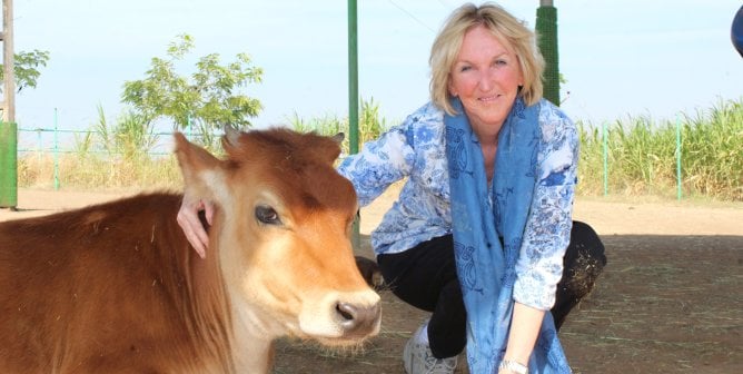 Ingrid Newkirk with cow at Animal Rahat sanctuary in India