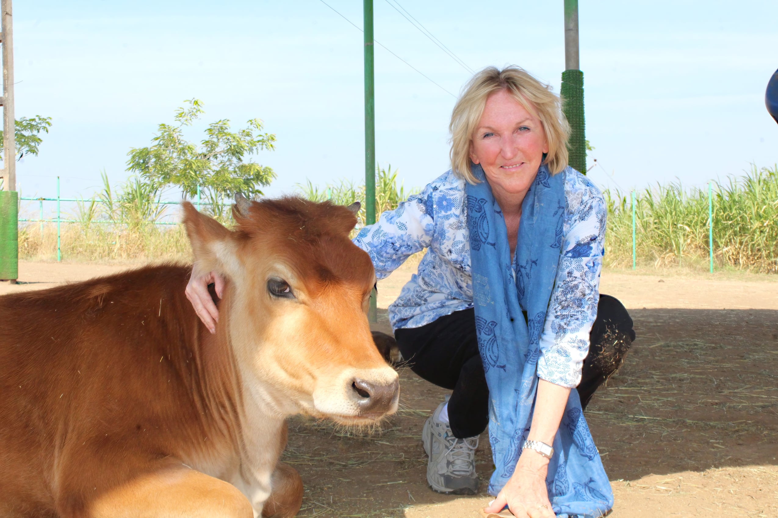 Ingrid Newkirk with cow at Animal Rahat sanctuary in India
