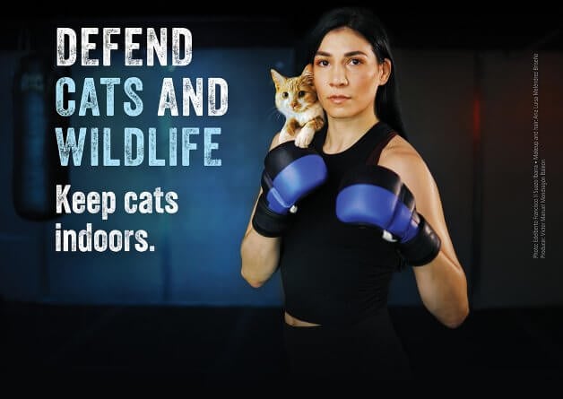 Cat Safety TKO: UFC Star Irene Aldana Throws Down for Cats and Wildlife in PETA Ad