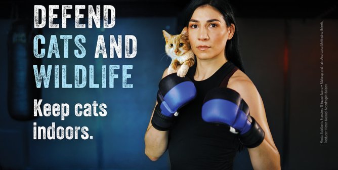 Cat Safety TKO: UFC Star Irene Aldana Throws Down for Cats and Wildlife in PETA Ad