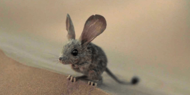 Maud'Dib (desert mouse) from Dune