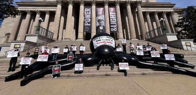Giant ‘Spider’ in Washington, D.C., Exposes NIMH’s Monkey Experiments