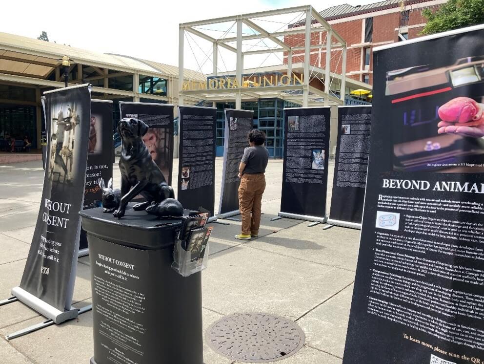 shows an outdoor exhibit consisting of a row of printed banners with text describing almost 200 stories about animals used in medical experiments