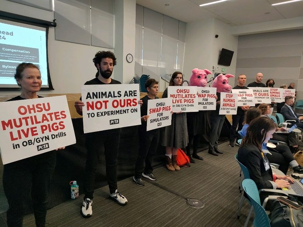 a line of people stand shoulder to shoulder, each holding a different sign with activism messaging