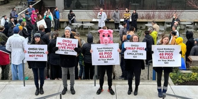 ‘Pig’ Presses for Ban on Live-Animal Mutilation at OHSU