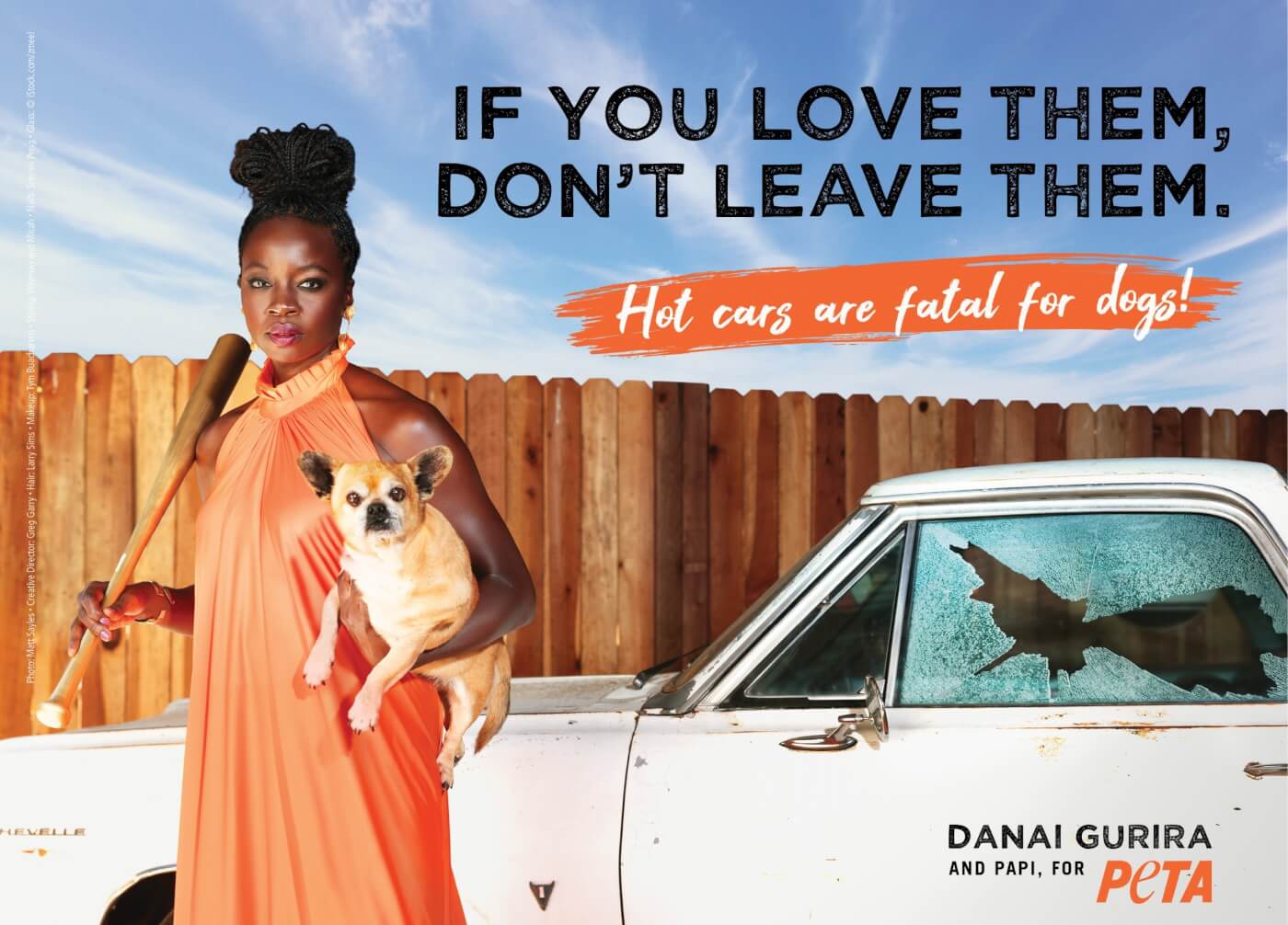 Danai Gurira holds a baseball bat and a dog in front of a car with a broken window
