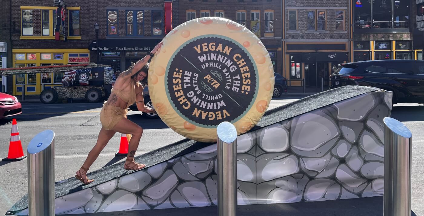 A PETA supporter rolls a fake wheel of cheese up a ramp