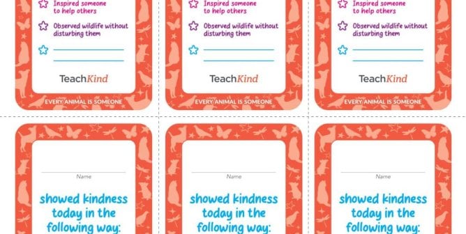3 Fish-Friendly Activities to Teach Students Empathy