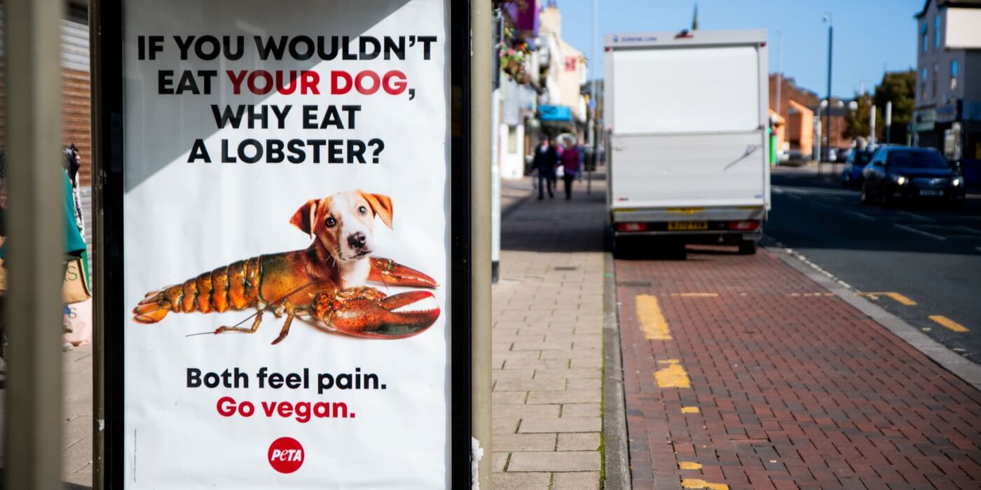 PETA ad placed at a bus shelter in the UK