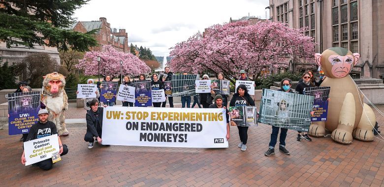 PETA Supporters Defend Monkeys at the University of Washington