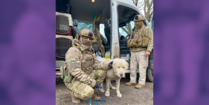 rescuer worker in Ukraine with dog
