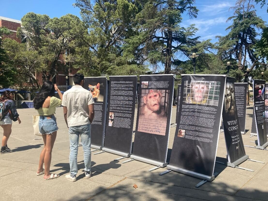 Visitors view PETA’s “Without Consent” exhibit. 