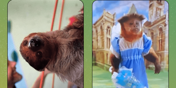Enough Monkey Business! Tell FOX: Exploiting Real Animals on ‘Animal Control’ Isn’t Funny