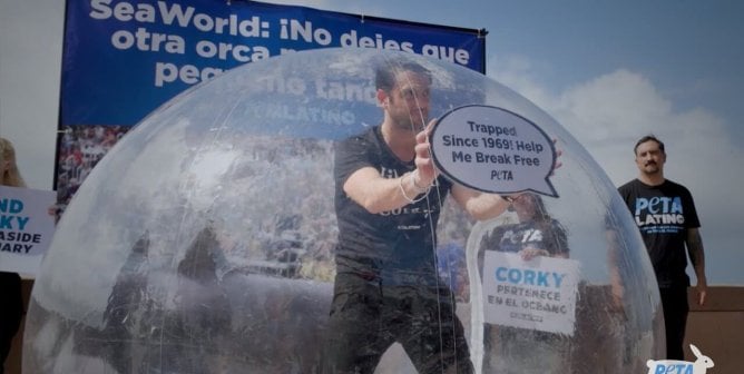 Christopher von Uckermann standing in a plastic dome