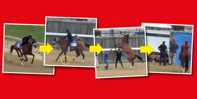 A sequence of a horse racing, then being injured, then being euthanized