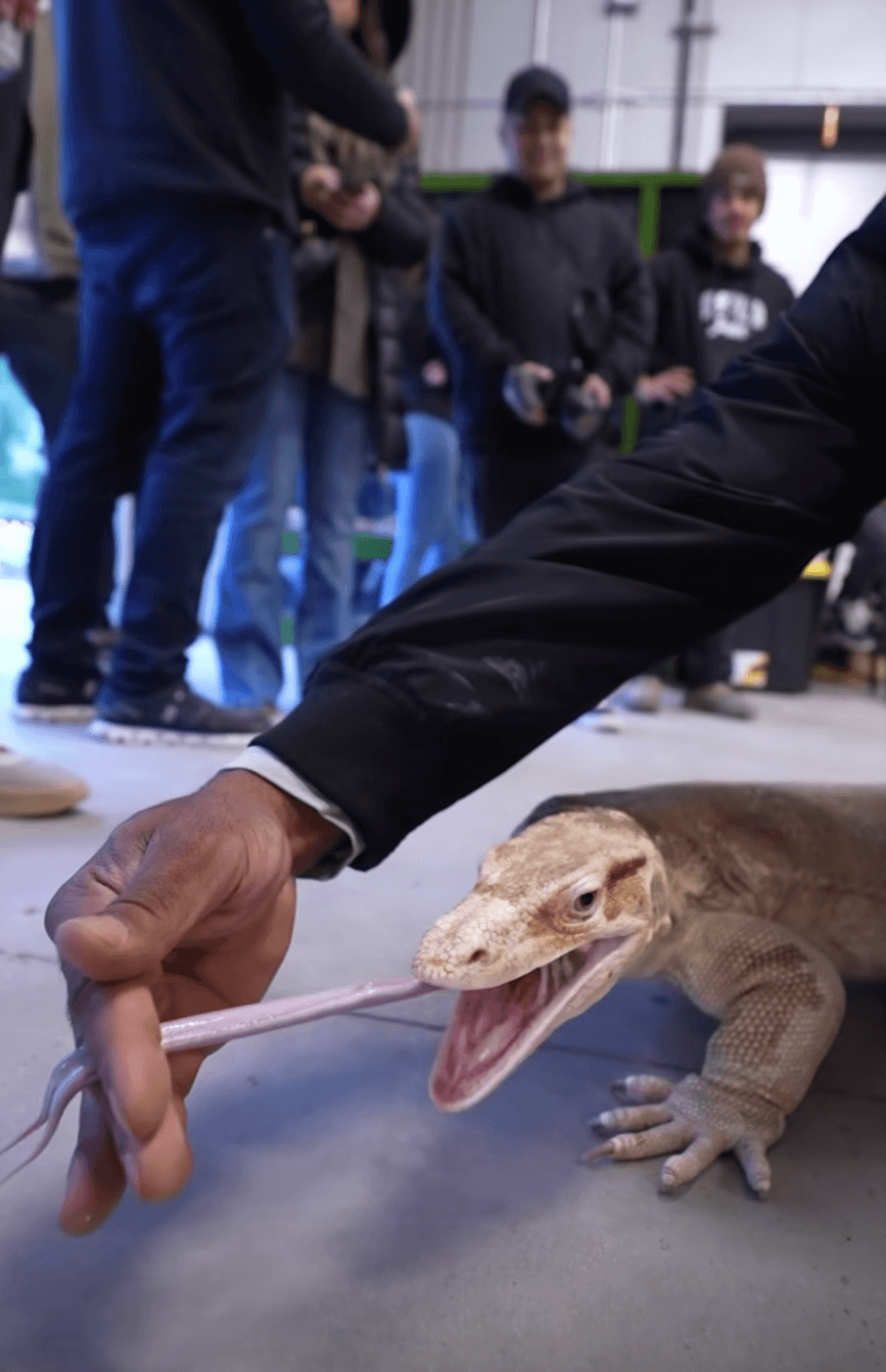 man grabbing a lizard