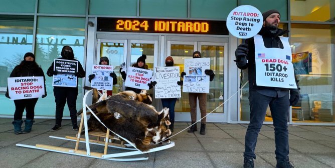 protesters in front of 2024 Iditarod sign