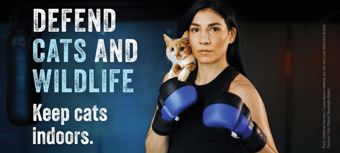 Irene Aldana Stars in Knockout PETA Advert