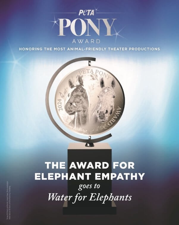 Certificado del Premio PETA Pony por Agua para Elefantes