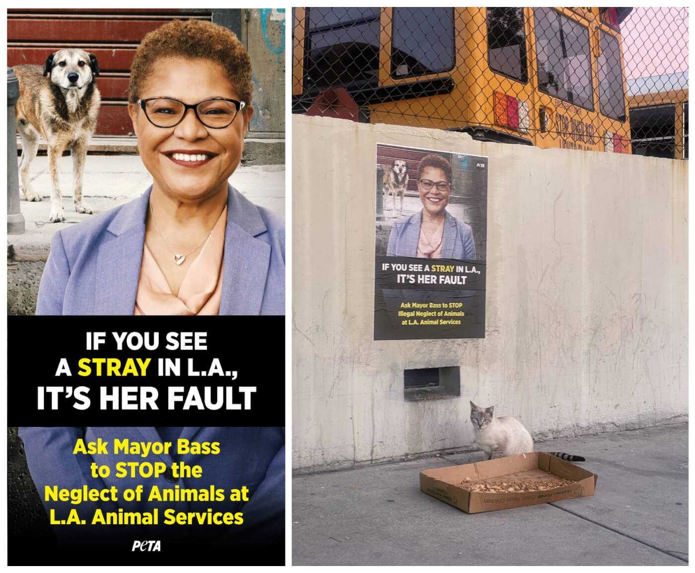 side-by-side collage of two images showing the LA shelter ad