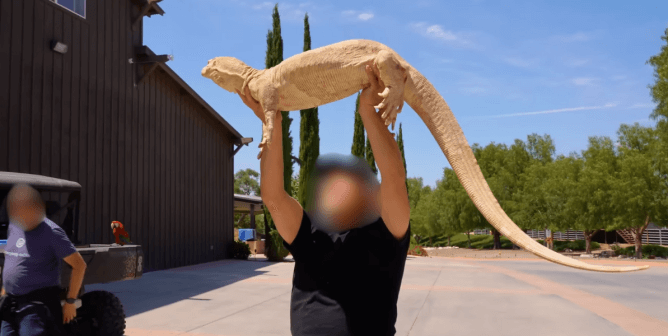 man holds large lizard above his head