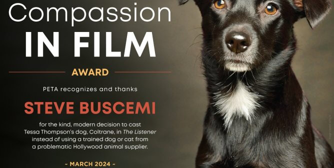 compassion in film award for steve buscemi for his film the listener