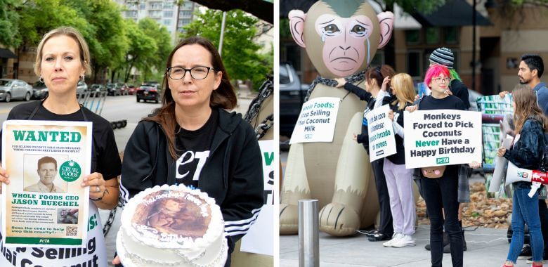 Birthday Blitz: Giant ‘Monkey’ Delivers Cake to Whole Foods CEO