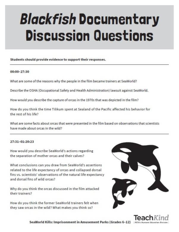Page 1 of the 2024 TeachKind Blackfish Documentary Discussion Questions