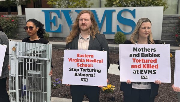 PETA supporters protest Eastern Virginia Medical School (EVMS ) over its treatment of baboons in experiments