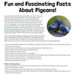 Project Pigeon Pal! Facts and Activities to Instill Respect and
Appreciation for Pigeons