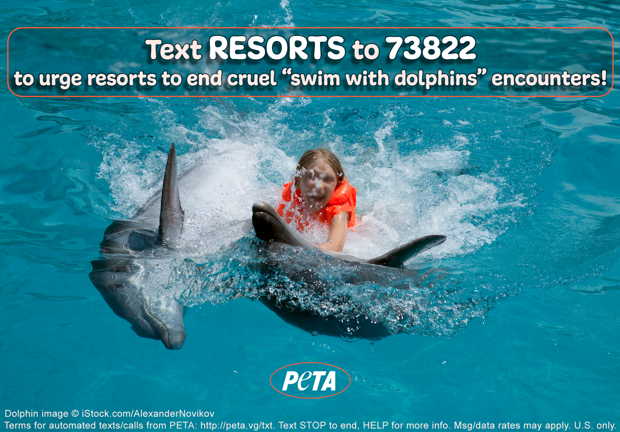 A girl swimming with dolphins. Text RESORTS to 73822 to tell Hawks Cay Resort, The Kahala Hotel & Resort, and Hilton Waikoloa Village to end their cruel “swim with dolphins” encounters and not to permit the breeding or acquisition of more animals on their premises.