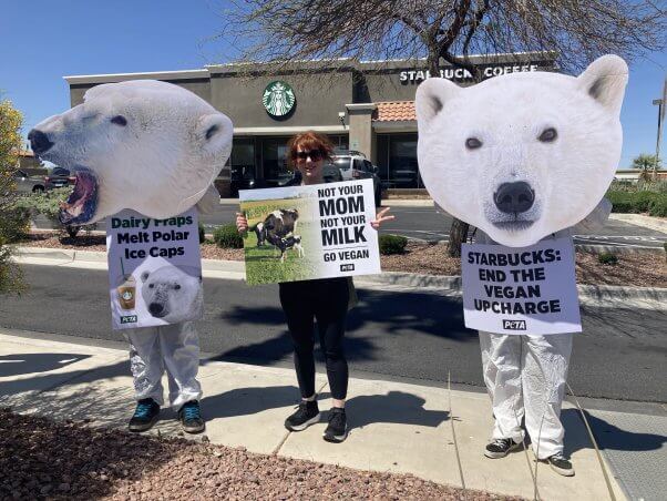PETA "polar bears" outside Starbucks in Henderson, NV. "Starbucks: end the vegan upcharge."