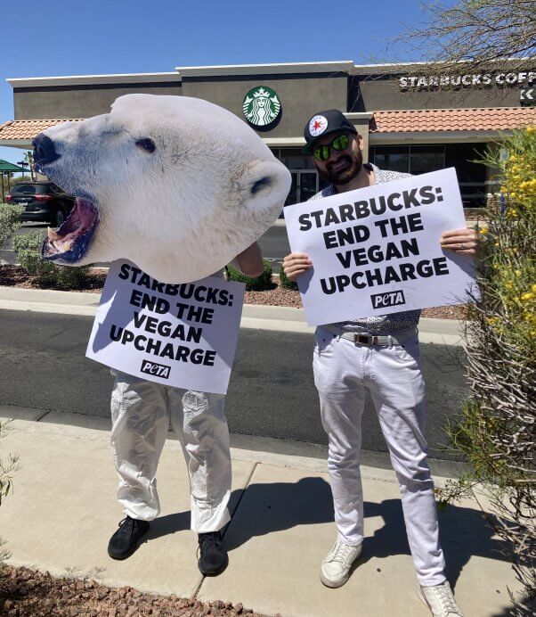 PETA "polar bears" outside Starbucks in Henderson, NV. "Starbucks: end the vegan upcharge."