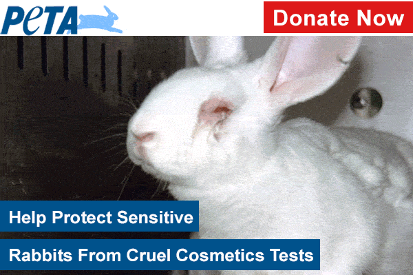 A drip, drip, drip of chemicals, right into a rabbit’s eyes