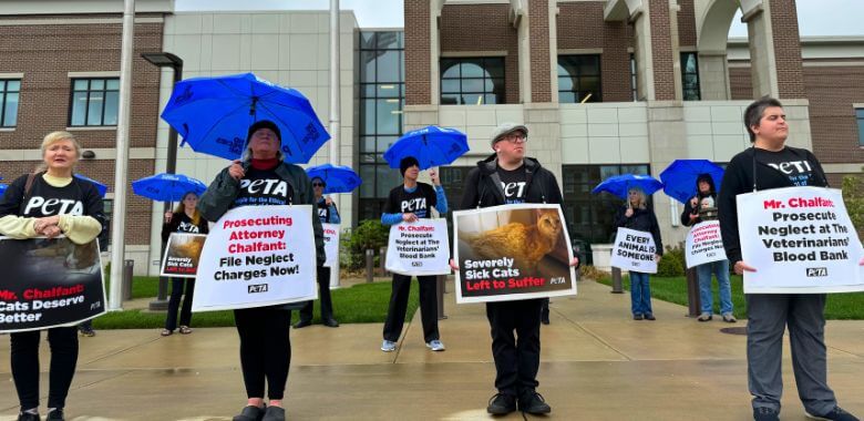 PETA Descends On Prosecutor’s Office to Demand Charges Against Blood Bank