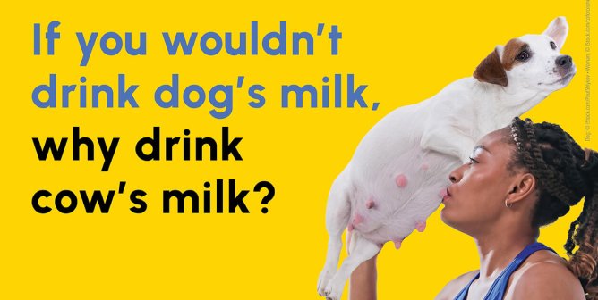 Yellow background with text "If you wouldn't drink dog's milk, why drink cow's milk?" next to a woman drinking from a dog