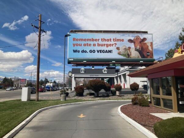 Photo of billboard with a photo of two cows in Reno. Text reads "Remember that time you ate a burger? We do. Go Vegan!"